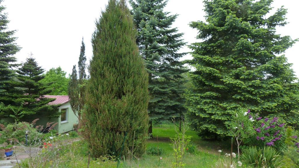 Bungalow Am Kuestrinsee Bei Ліхен Екстер'єр фото